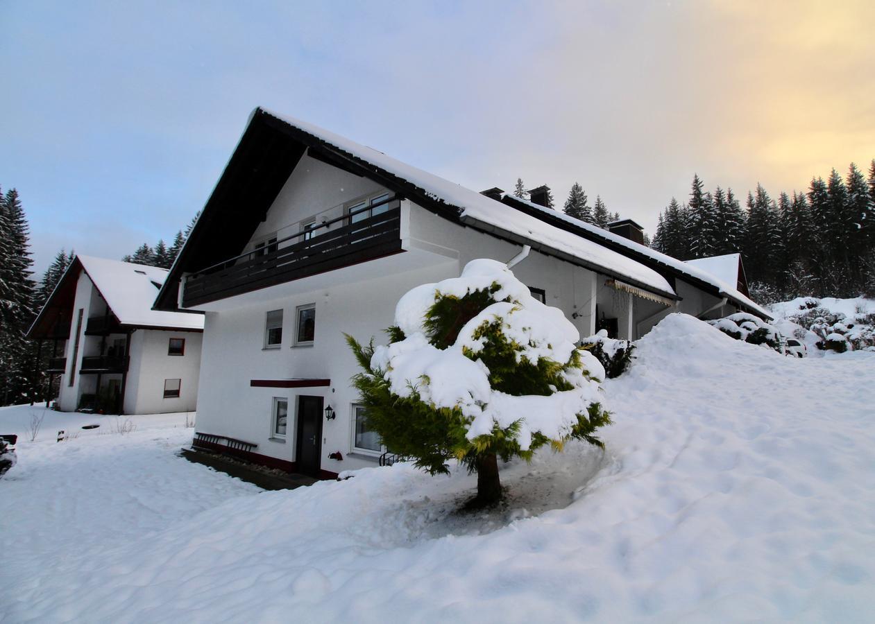 Ferienhaus Frei 1 Hinterzarten Apartment Exterior photo